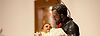 headers-cajetan.jpg